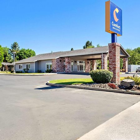 Comfort Inn & Suites Susanville Eksteriør billede